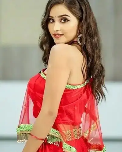 Call Girls Service Afzalpur